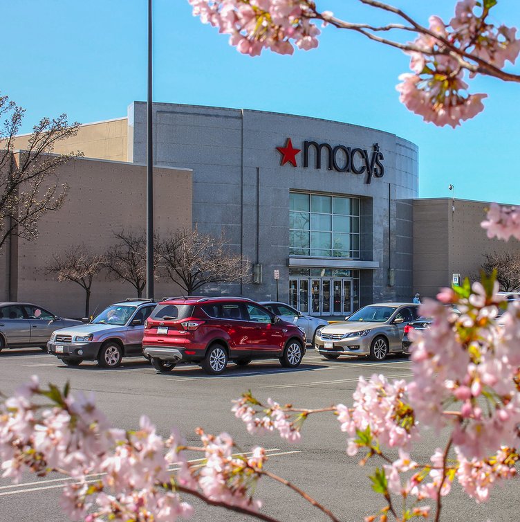 Macy's storefront at Manassas Mall framed by spring cherry blossoms